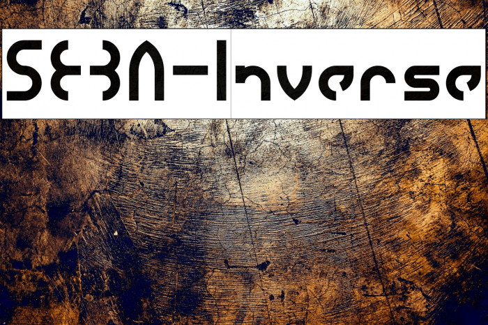 SEBA-Inverse Example 3