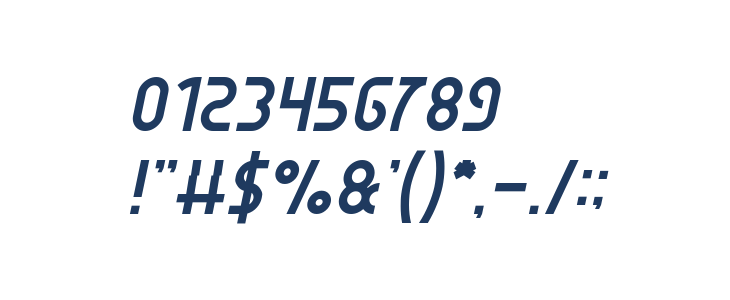 SEBA Italic Other Characters