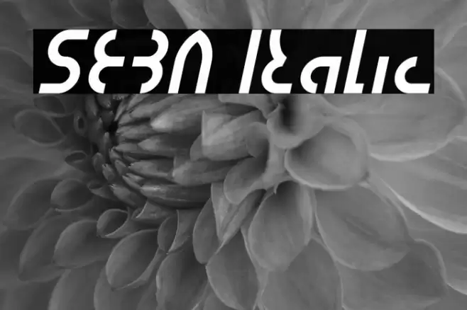 SEBA Italic Font examples