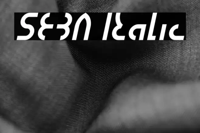 SEBA Italic Font examples