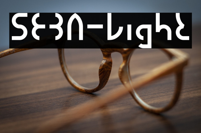 SEBA-Light Example 1