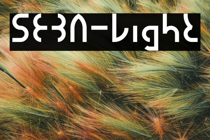 SEBA-Light Example 3