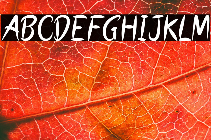 SECRET NUMBER Example 1