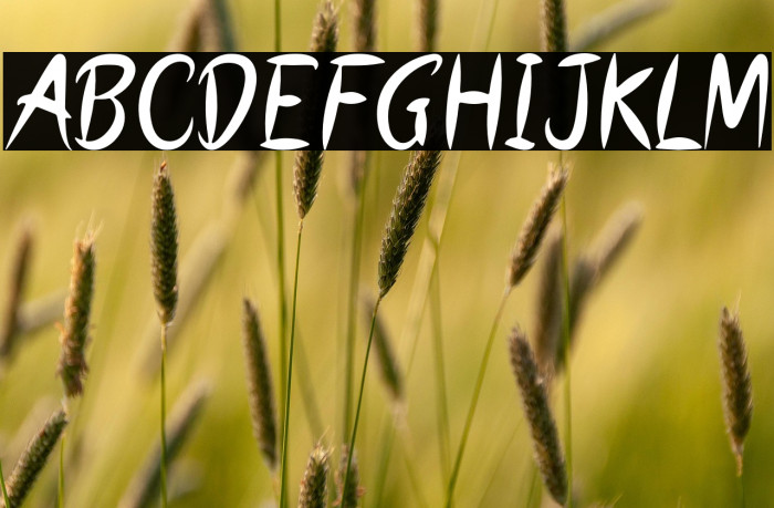 SECRET NUMBER Example 2