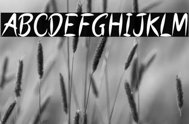 SECRET NUMBER Font examples