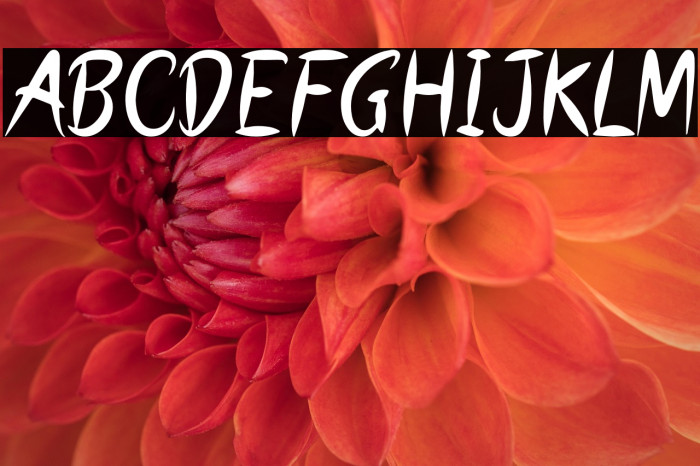 SECRET NUMBER Example 3