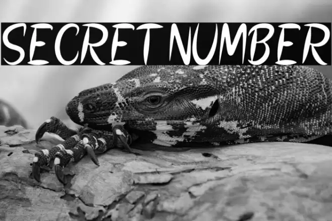 SECRET NUMBER Font examples