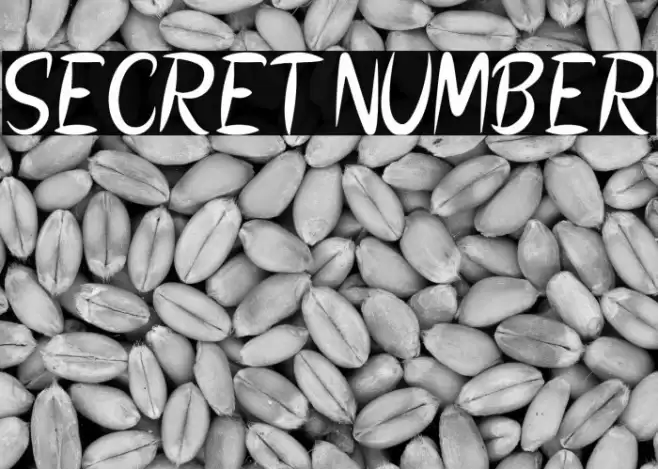 SECRET NUMBER Font examples