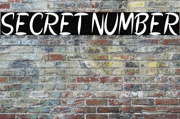 SECRET NUMBER Example 3