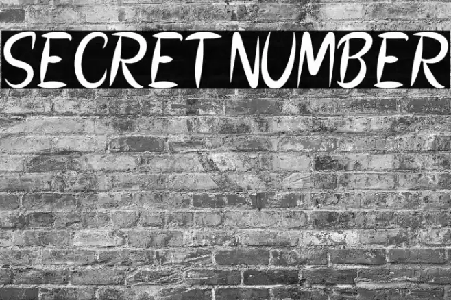 SECRET NUMBER Font examples