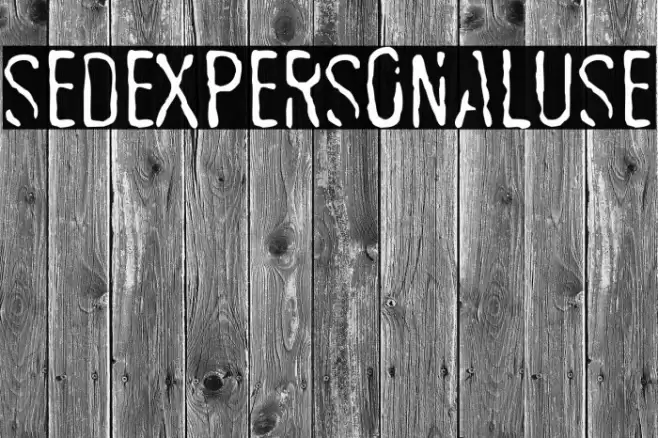 SEDEXPERSONALUSE 字体 examples