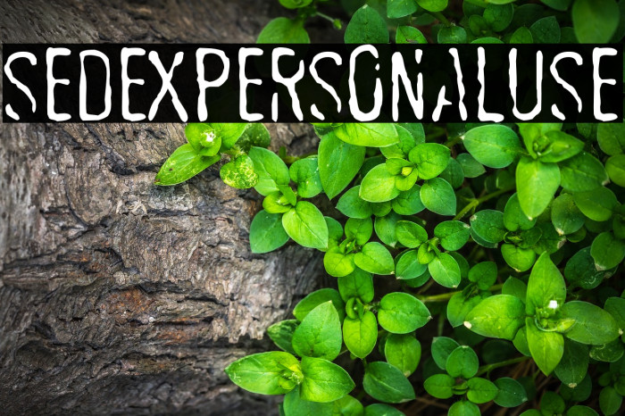 SEDEXPERSONALUSE 字体 examples