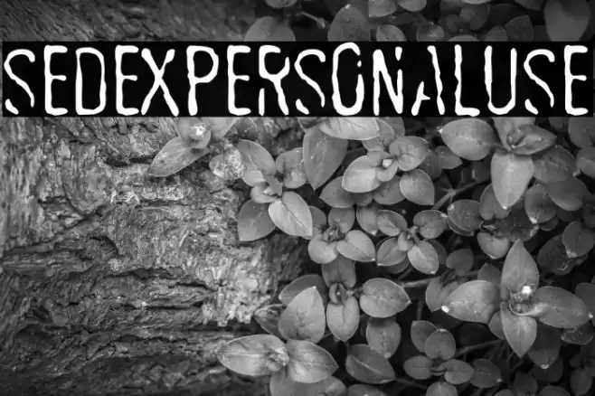 SEDEXPERSONALUSE 字体 examples