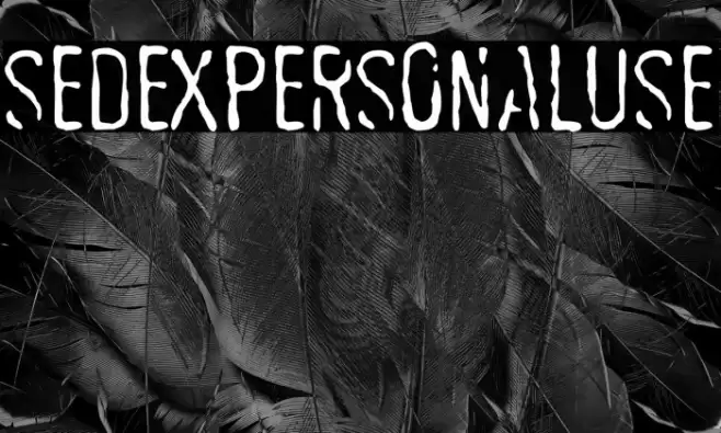 SEDEXPERSONALUSE 字体 examples