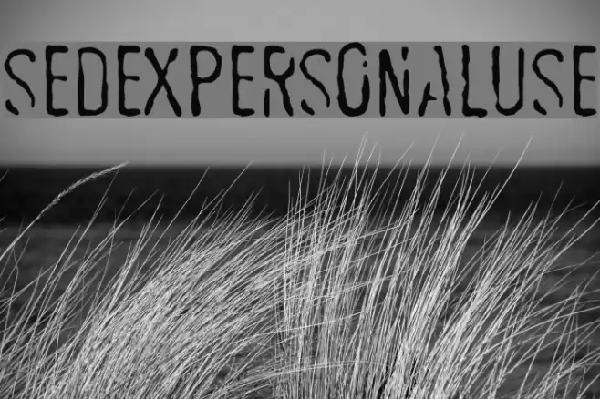 SEDEXPERSONALUSE Font examples