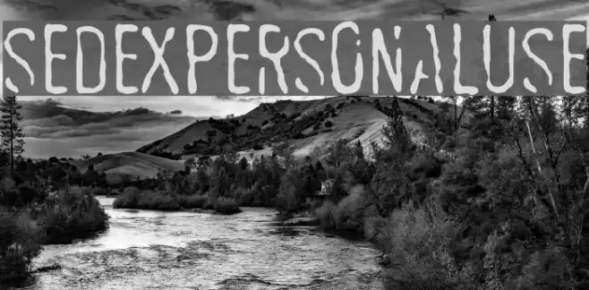 SEDEXPERSONALUSE Font examples
