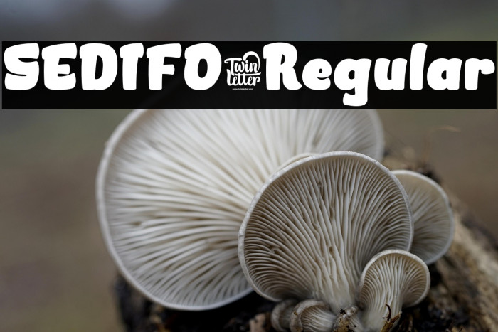 SEDIFO-Regular Example 1