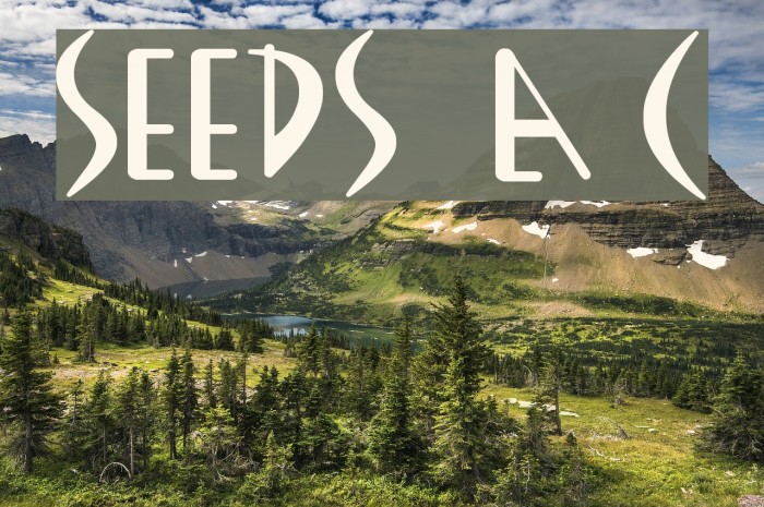 SEEDS by Agent C Font examples