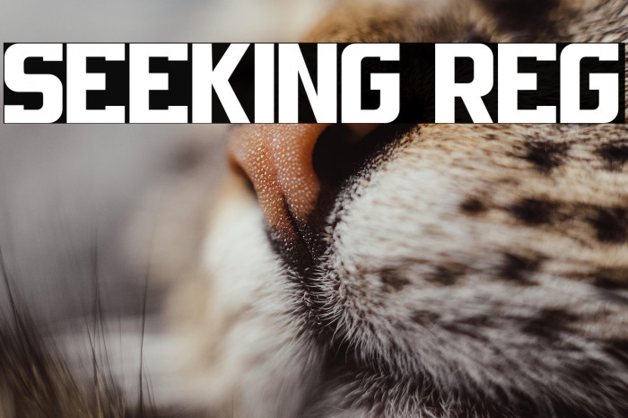 SEEKING REG Example 1