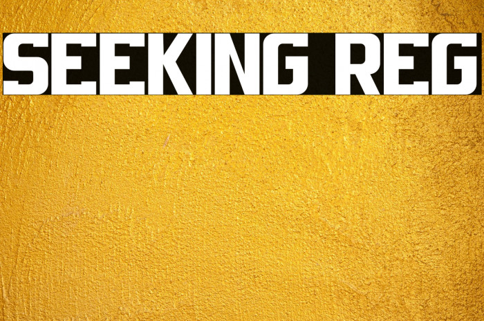 SEEKING REG Example 3