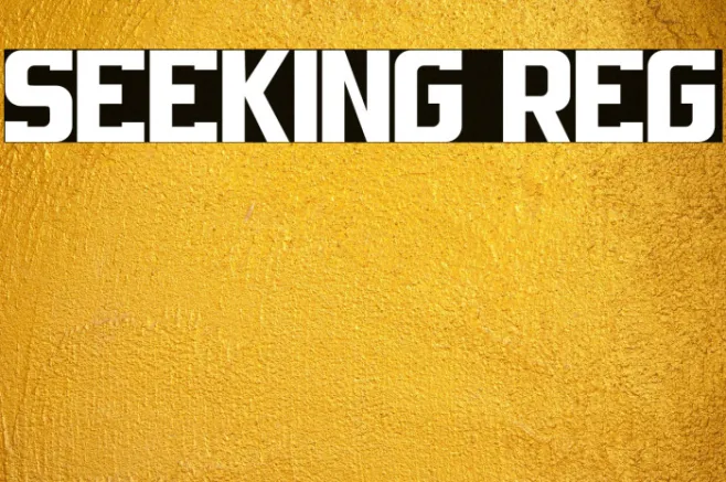 SEEKING REG Example 3