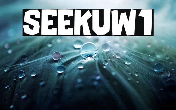 SEEKUW1 Example 1