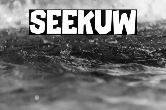 SEEKUW Caratteri examples