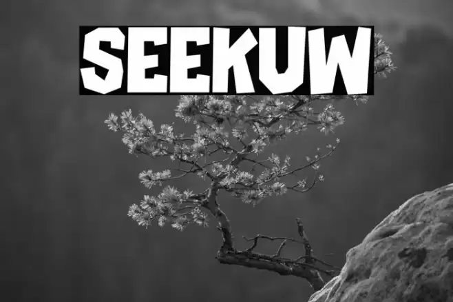 SEEKUW Caratteri examples