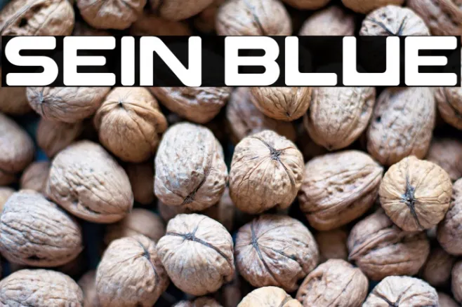 SEIN BLUE Example 2