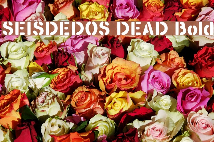 SEISDEDOS DEAD Bold Font examples