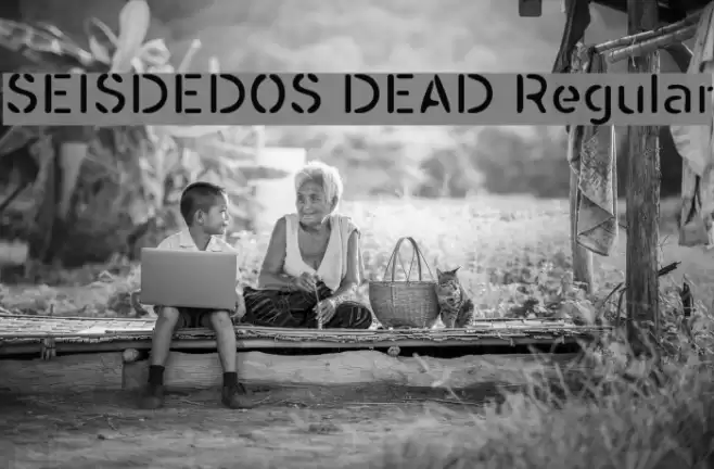 SEISDEDOS DEAD Regular フォント examples
