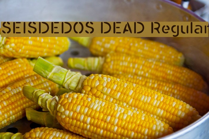SEISDEDOS DEAD Regular Font examples