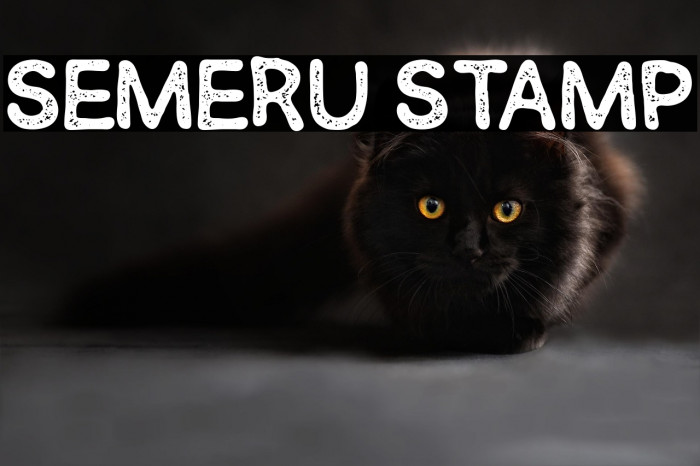 SEMERU Stamp Example 3