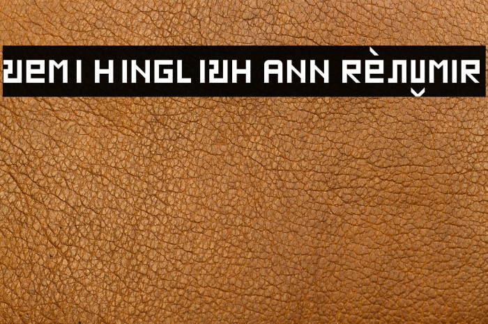 SEMI HINGLISH ANN Regular Example 3