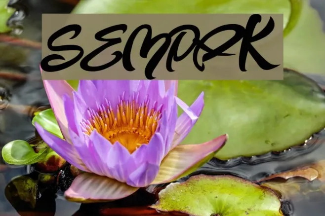 SEMPAK Example 1