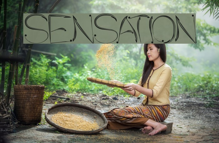 SENSATION Font examples