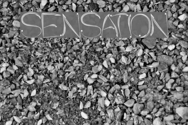 SENSATION Font examples