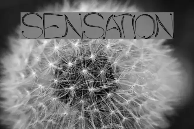 SENSATION Font examples