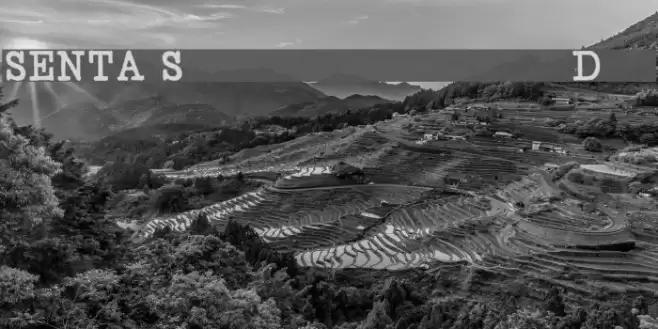 SENTA Schreibmaschine Demo Font examples