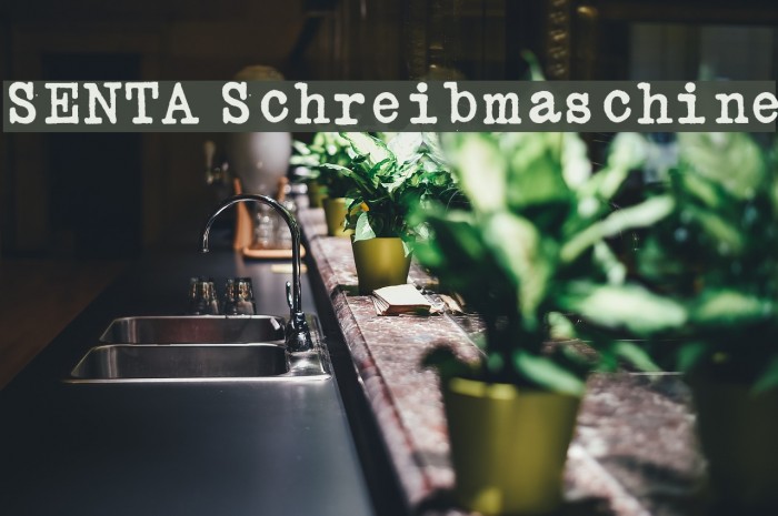 SENTA Schreibmaschine Example 2