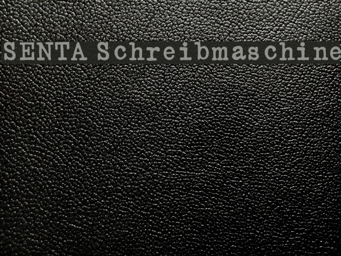 SENTA Schreibmaschine Example 3