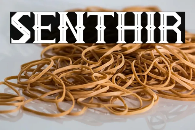 SENTHIR Example 3