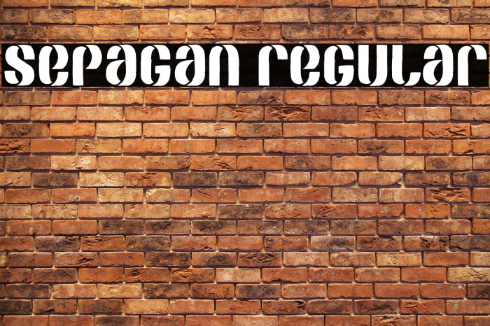 SEPAGAN Regular Example 1