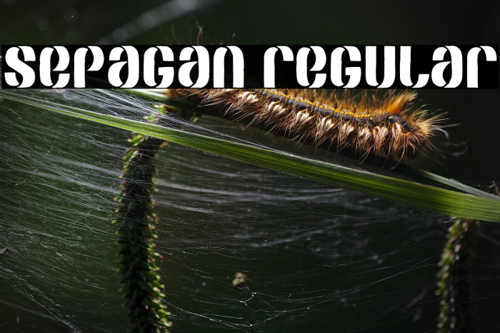 SEPAGAN Regular Example 2