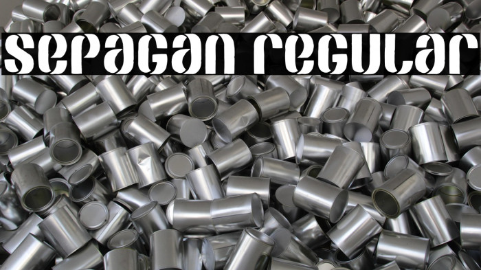 SEPAGAN Regular Example 3