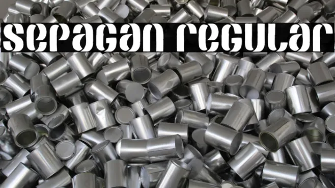 SEPAGAN Regular Example 3