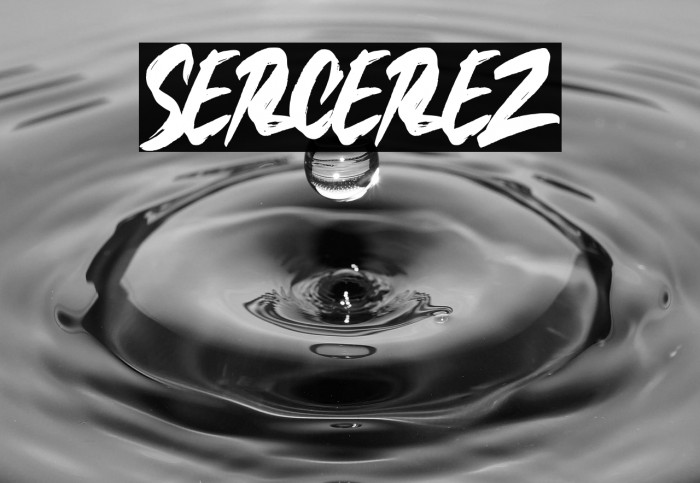 SERCEREZ Example 2