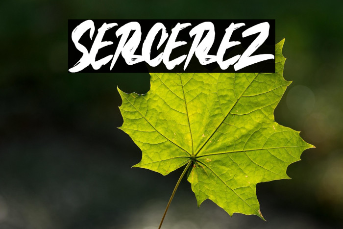 SERCEREZ Example 3