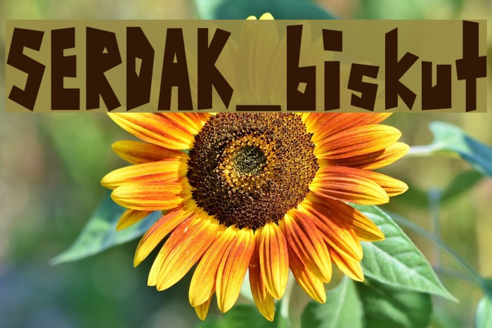 SERDAK_biskut Example 3