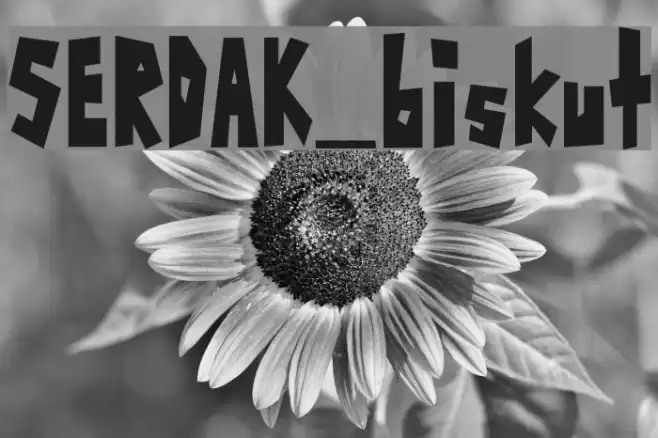 SERDAK_biskut Font examples